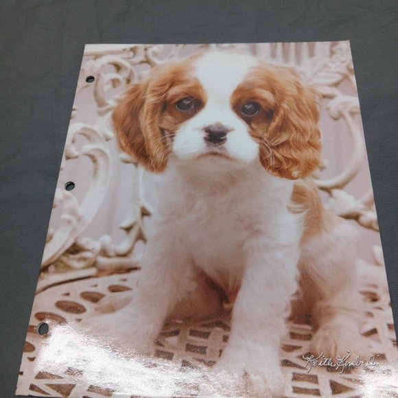 Keith Kimberlin Puppy Dog Folder - Picture 1 of 15